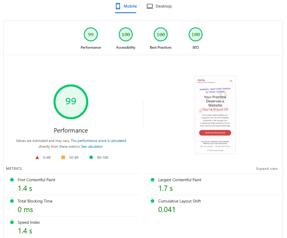 Google PageSpeed Insights showing perfect 100 scores
